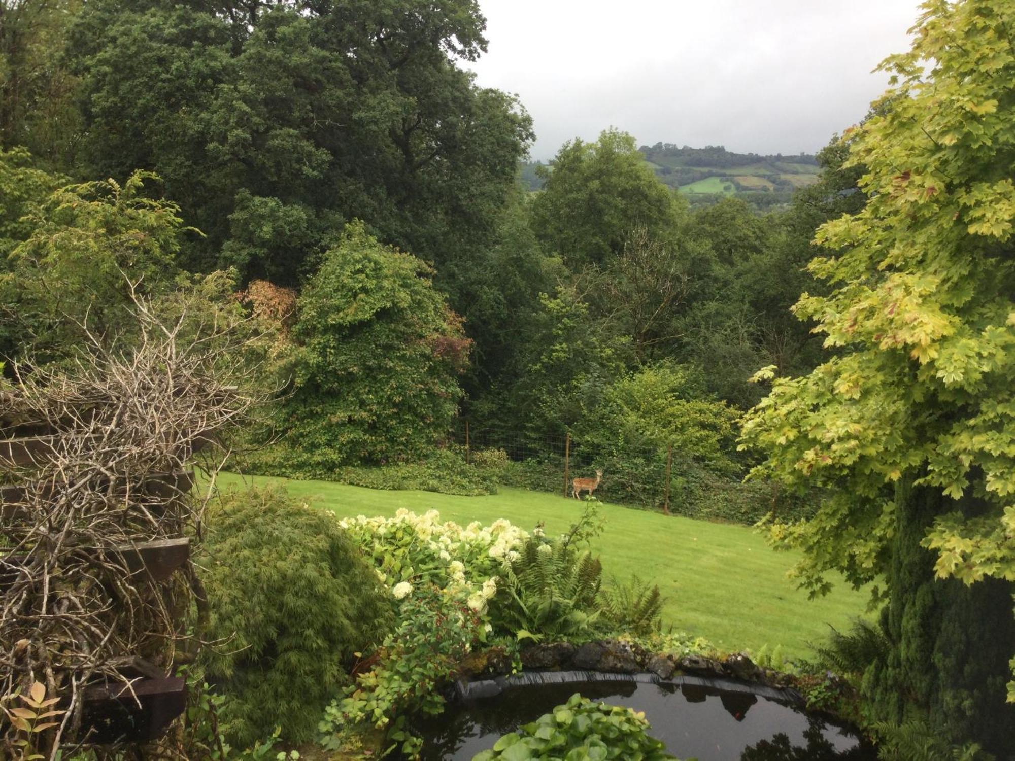 Dwynant - A Room With A View Llangathen Buitenkant foto